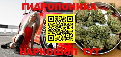 винт Донецк
