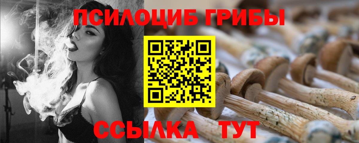 Междуреченск  Псилоцибиновые грибы ЛСД  Вход с VPN 