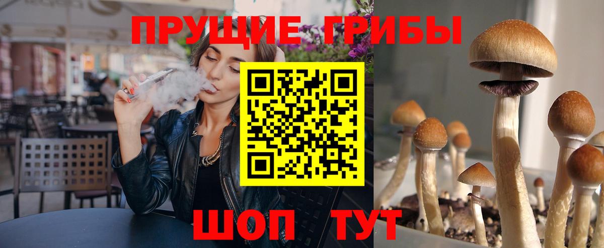Галлюциногенные грибы мицелий Междуреченск